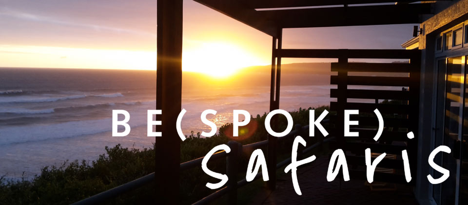 Salamander Safaris - Bespoke Safaris South Africa