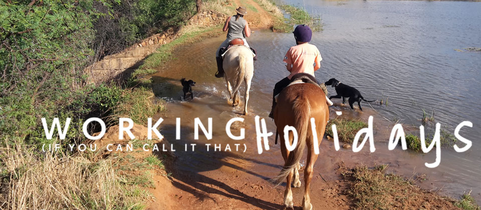 "Most agents work from a desk in a city – I’m a little different”