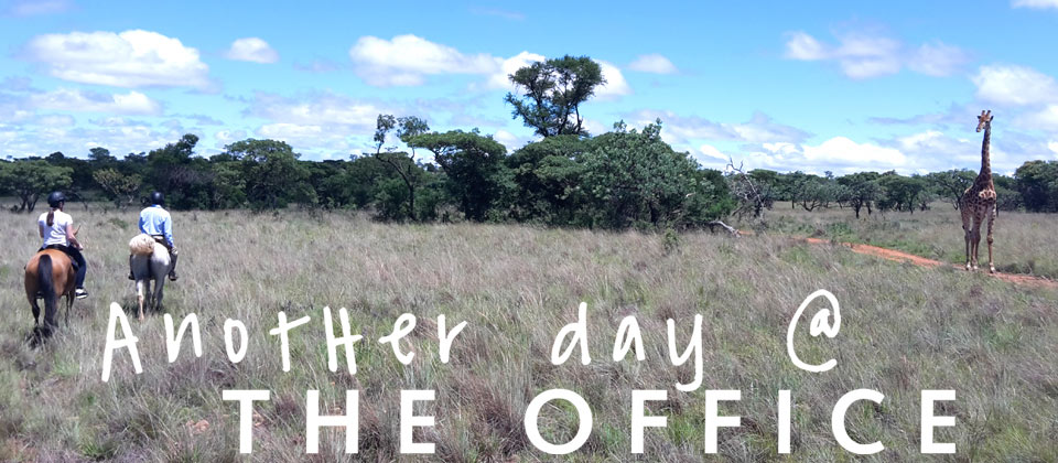 Waterberg South Africa